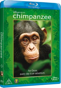 Chimpanzee_BD_3D_scandi