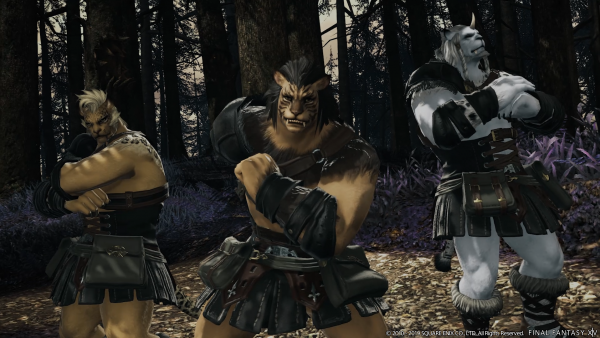 FFXIV_~1 | eReviews.dk